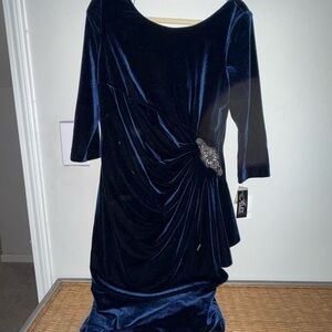Alex Evenings Midnight Blue Velvet Dress